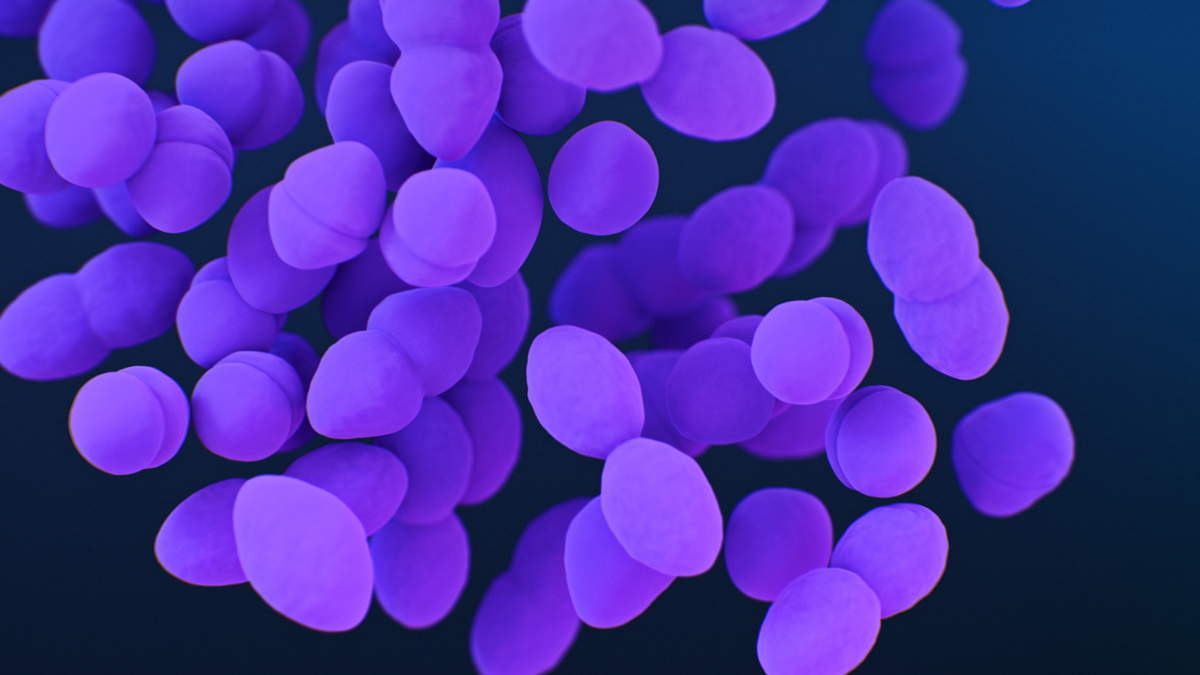 radar_ppi_background